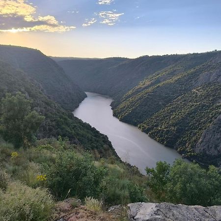 Cabanas Miraduero Альдеадавила-де-ла-Рибера Экстерьер фото